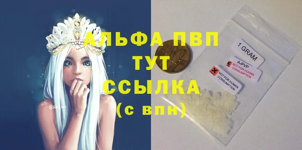 спиды Аркадак